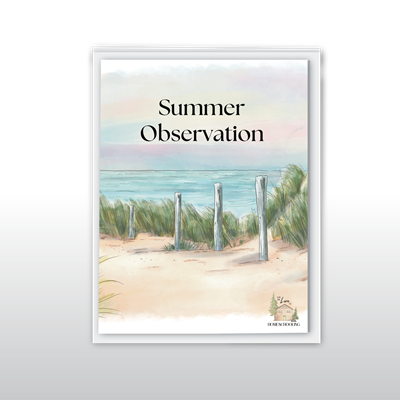 Summer Journal - Coastline