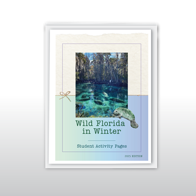 Wild Florida in Winter Student Activity Pages: 2025 Edition