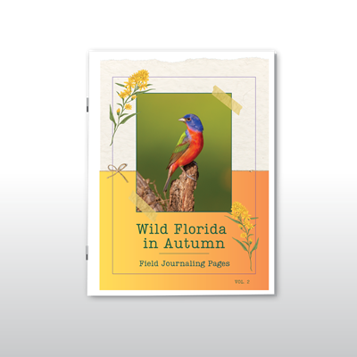 Wild Florida in Autumn Field Journaling Pages: 2026 Edition
