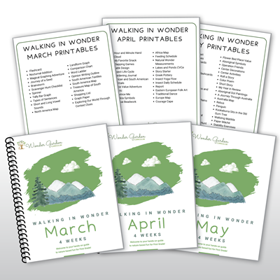 Walking in Wonder Spring Bundle