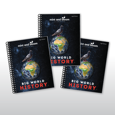 Big World History: High School Bundle