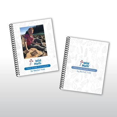 Wild Math Third Grade Bundle