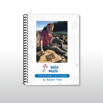 Wild Math Third Grade Bundle