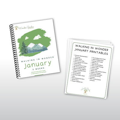 Walking in Wonder: January