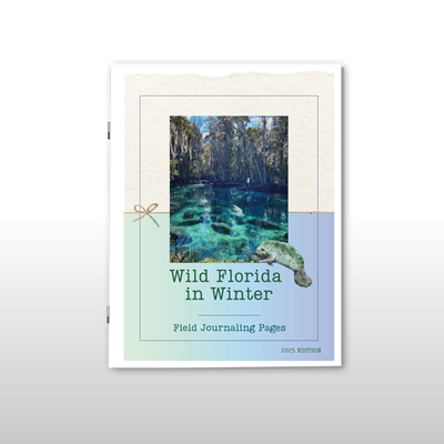 Wild Florida in Winter Field Journaling Pages: 2025 Edition