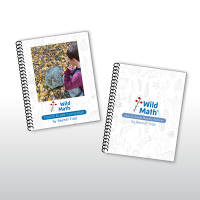 Wild Math Fourth Grade Bundle