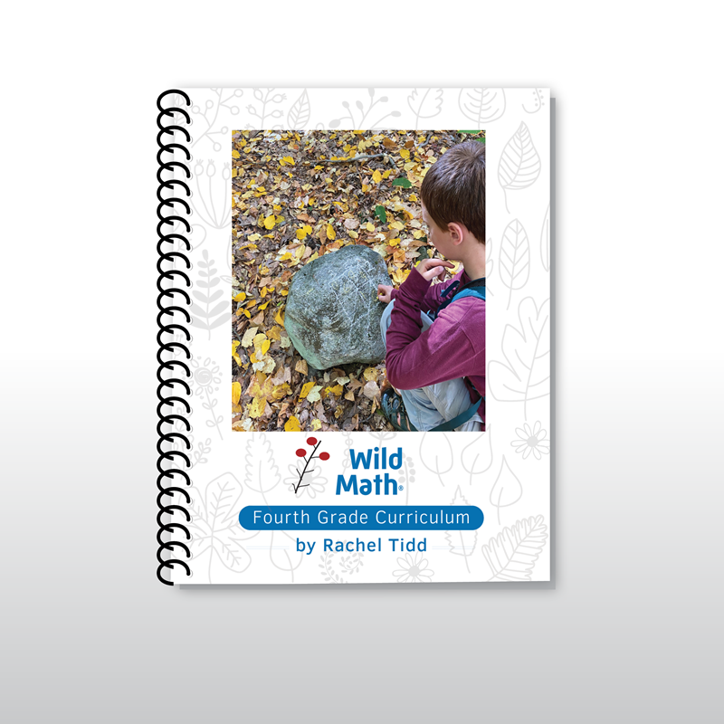 Wild Math Fourth Grade Bundle