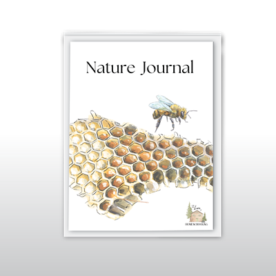 Nature Journal - Bee Honeycomb