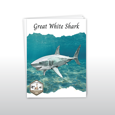 Great White Shark