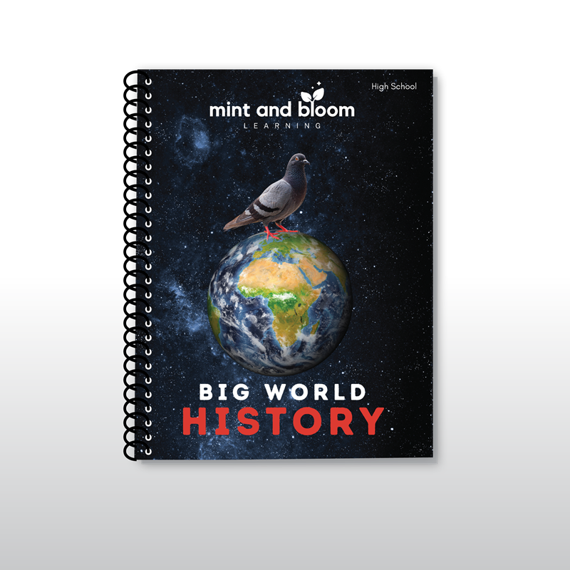 Big World History: High School Student Pages
