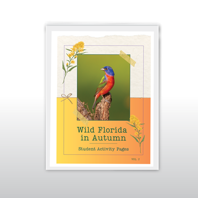 Wild Florida in Autumn Student Activity Pages: 2026 Edition