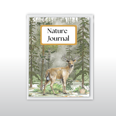 Nature Journal - Forest Deer
