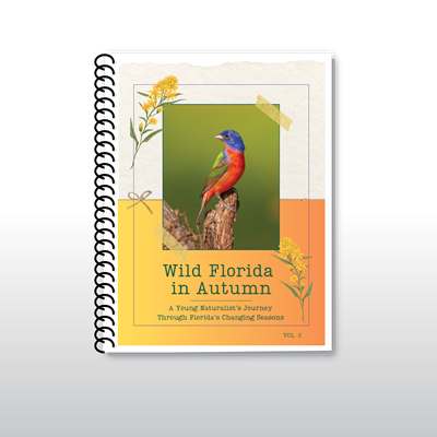 Wild Florida in Autumn: 2026 Edition