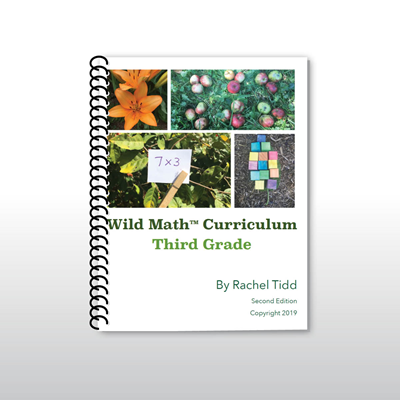 Wild Math Third Grade