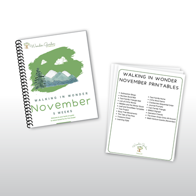 Walking in Wonder: November