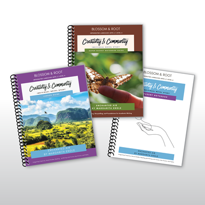 Level 6 Language Arts Enchanted Air Bundle