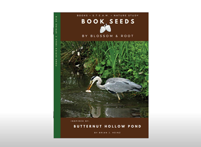 Pond Book Seed 02: Butternut Hollow Pond