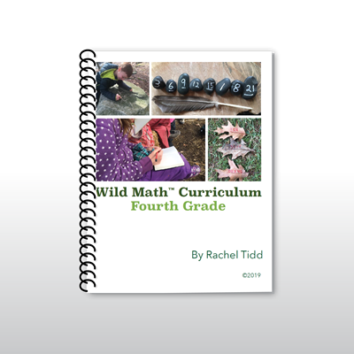 Wild Math Fourth Grade*
