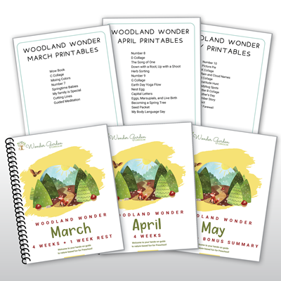 Woodland Wonder Spring Bundle