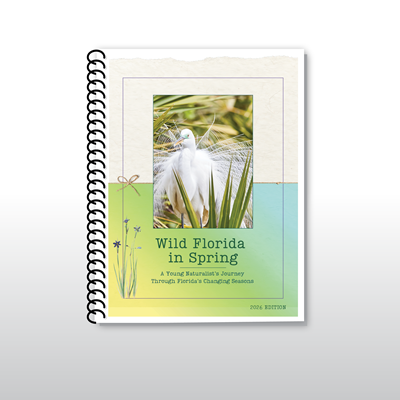 Wild Florida in Spring: 2026 Edition