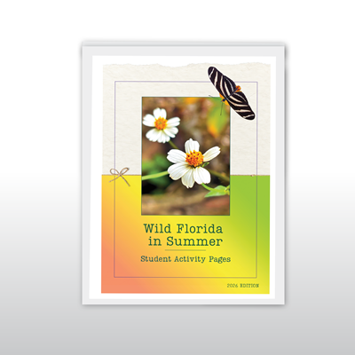 Wild Florida in Summer Student Activity Pages: 2026 Edition