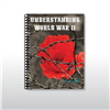 Understanding World War II*