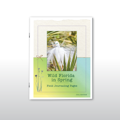 Wild Florida in Spring Field Journaling Pages: 2026 Edition