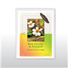 Wild Florida in Summer Student Activity Pages: 2026 Edition*
