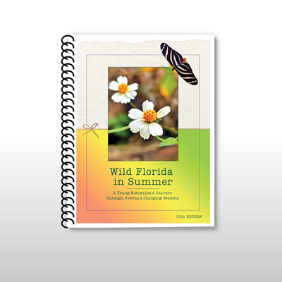 Wild Florida in Summer: 2026 Edition