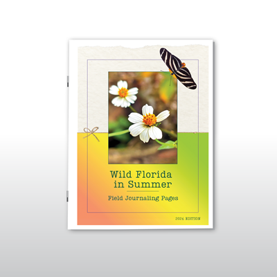 Wild Florida in Summer Field Journaling Pages: 2026 Edition